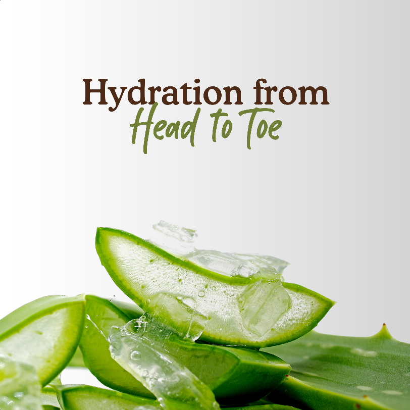 Aloe Vera Gel | Multipurpose Gel | Aloe Vera Gel for Skin, Face, and Hair | Suits All Skin Type | Men & Women (100g) Pack of 1 - Deyga Natural Skincare