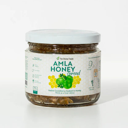 Amla Honey Spread 400g - The Divine Foods