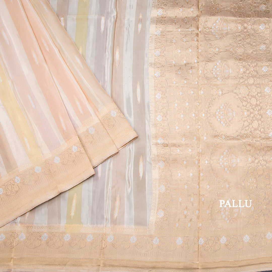 Tissue Banaras Multi Colour Zari Worked Saree 02
