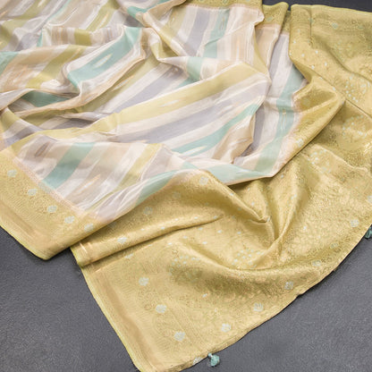 Tissue Banaras Multi Colour Zari Worked Saree 03