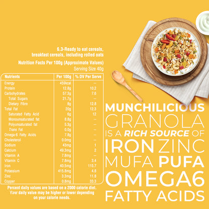 Dried Fruit Granola - Munchilicious (350gms)
