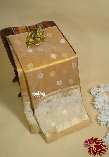 Golden glam - Soft Organza Tissue Silk - Madras Sarees