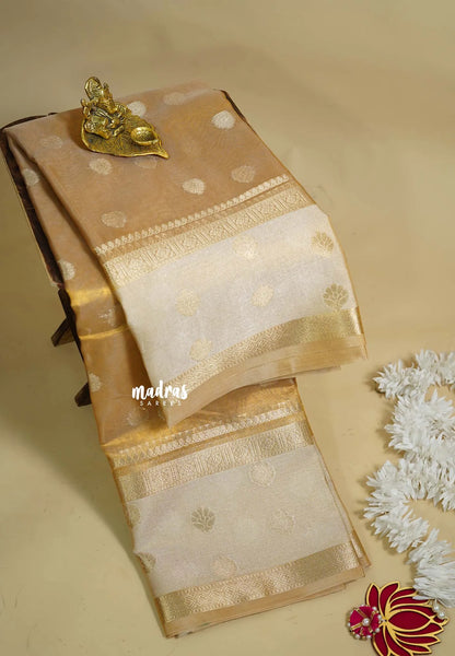 Golden glam - Soft Organza Tissue Silk - Madras Sarees
