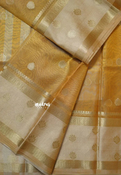 Golden glam - Soft Organza Tissue Silk - Madras Sarees